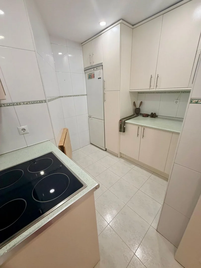 Piso en Avenida Donostiarra, 5, Concepción - Foto 5