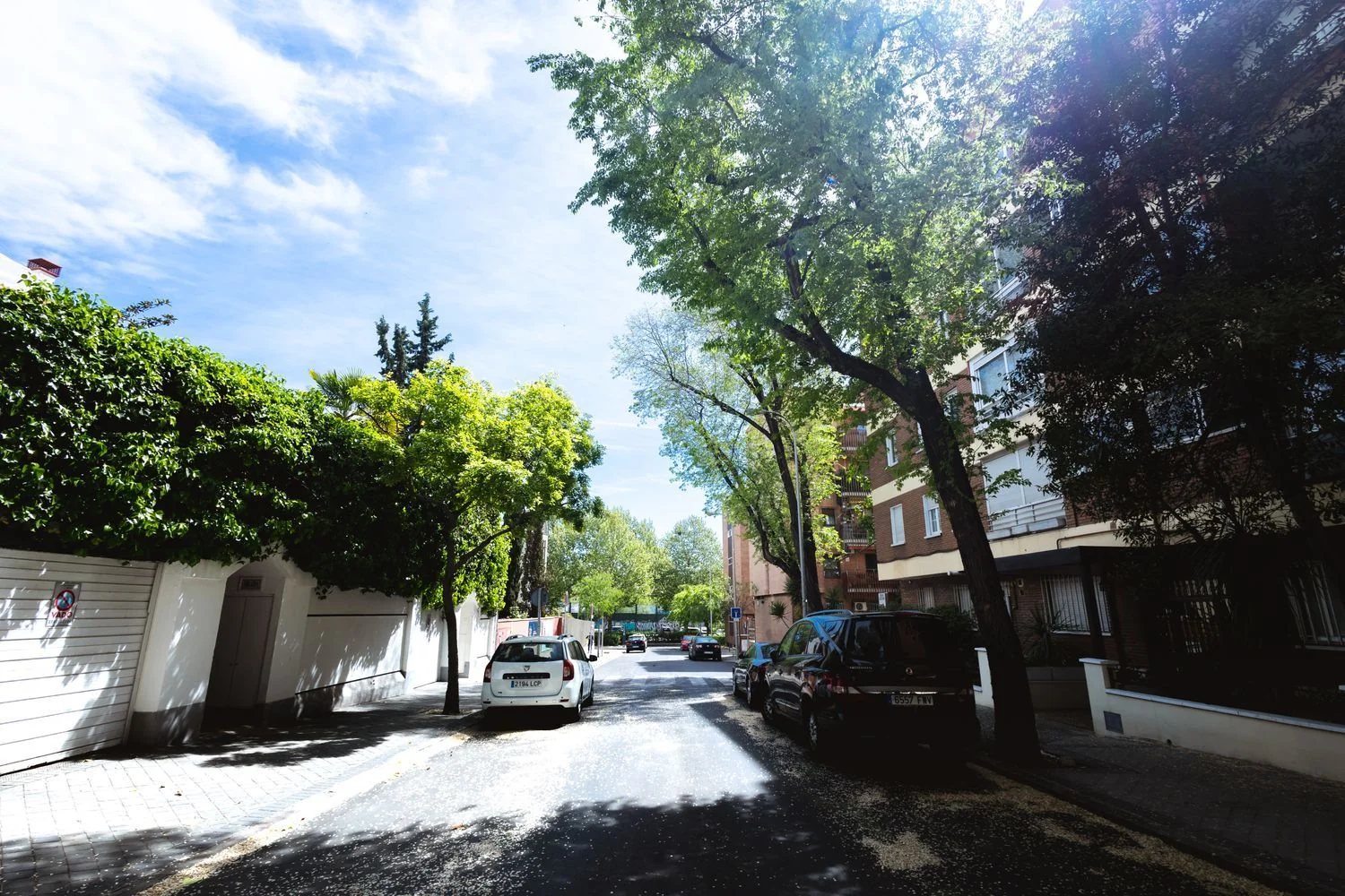 Piso en Calle de Prieto Ureña, 12, Nueva España - Foto 16
