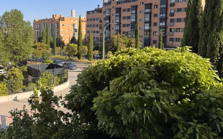 Piso en Calle de Isabel Clara Eugenia, 46, Sanchinarro - Foto 26