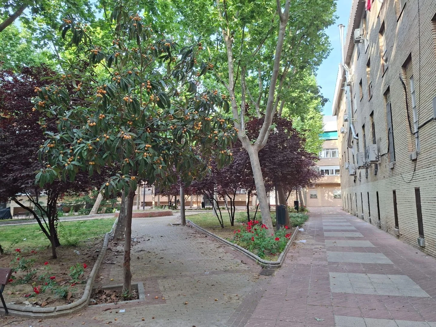 Piso en Plaza Movimiento Ciudadano, Orcasitas - Foto 21