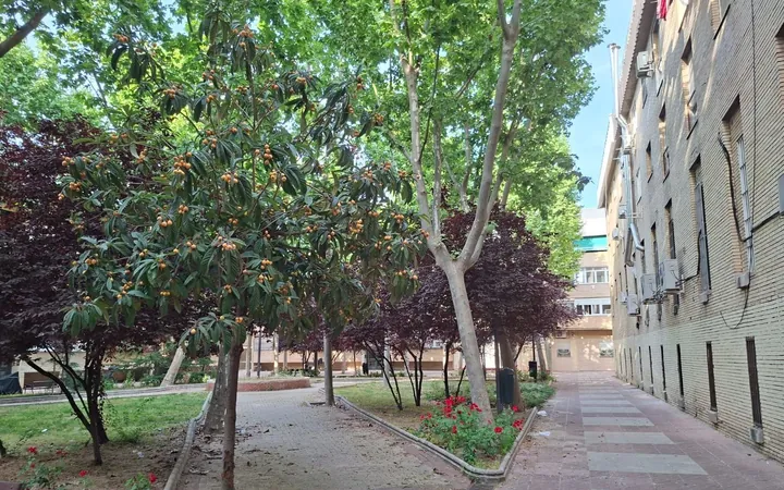 Piso en Plaza Movimiento Ciudadano, Orcasitas - Foto 21