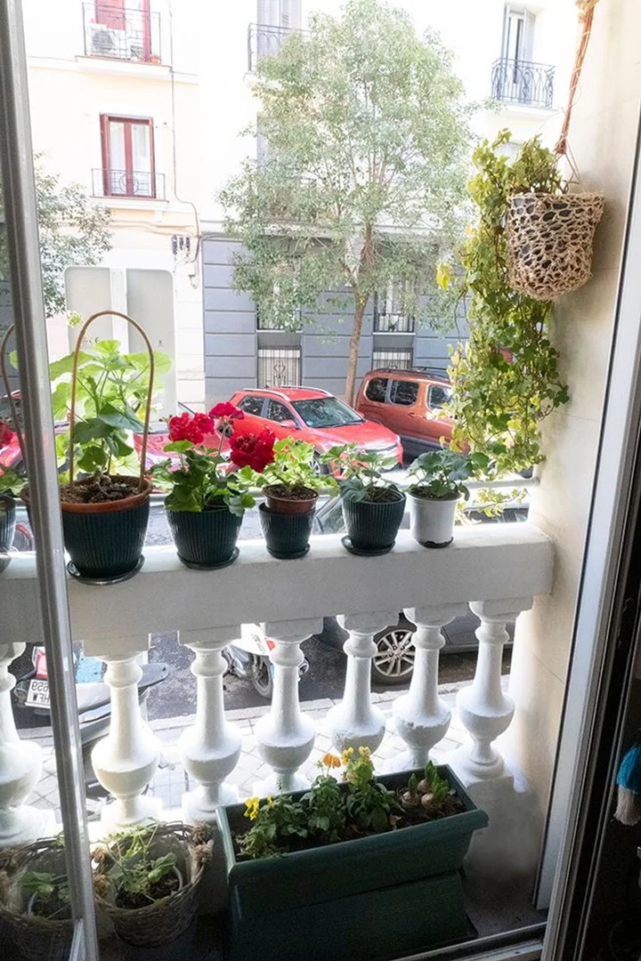 Piso en calle de Juan de Austria, 21 - Foto 20