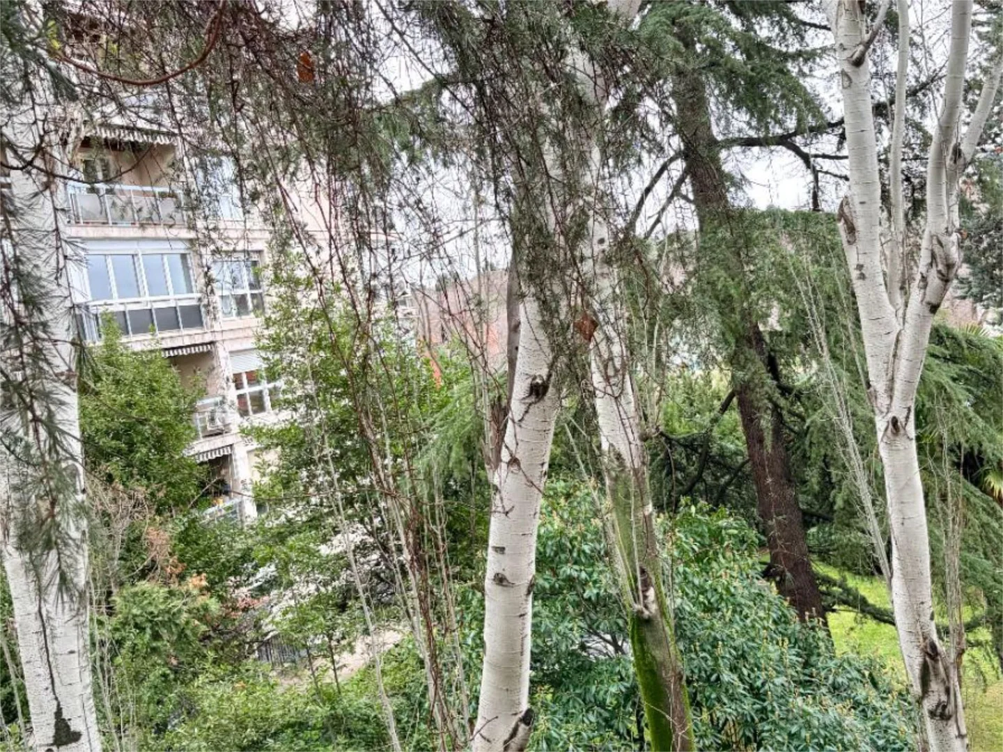 Piso en  Avenida de Alfonso XIII 105 - Foto 14