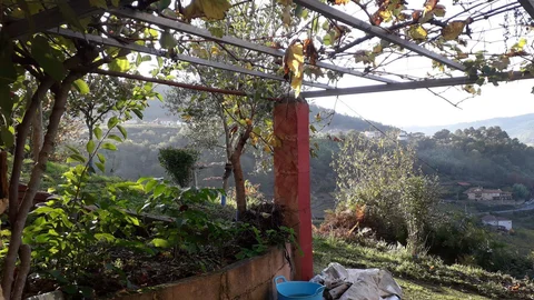 Casa de pueblo en Troncoso s/n - Foto 28