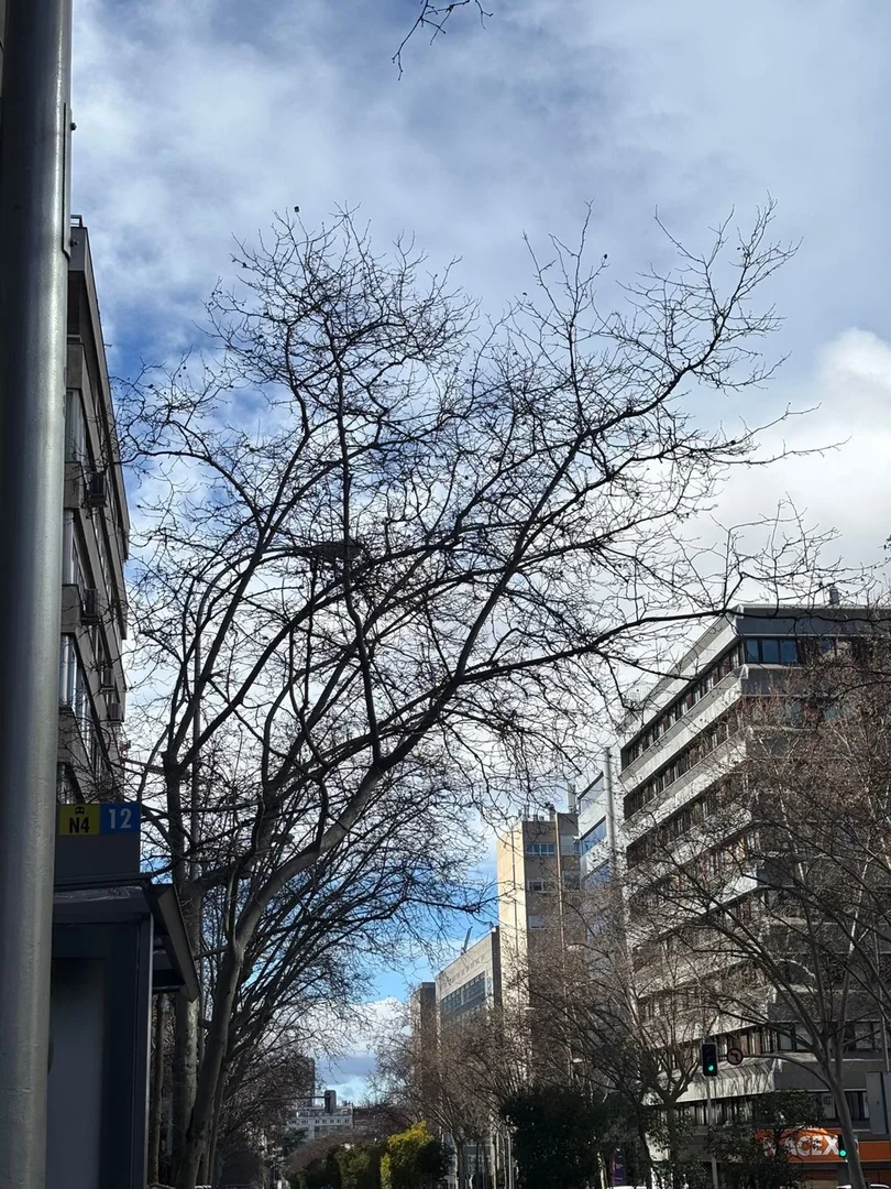 Piso en calle de María de Molina, 56 - Foto 21
