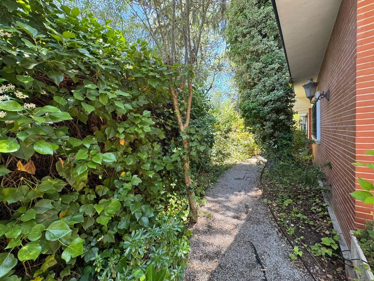 Casa o chalet independiente en Nueva España - Foto 42