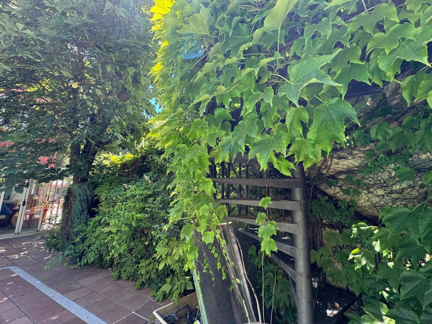Casa o chalet independiente en Nueva España - Foto 69