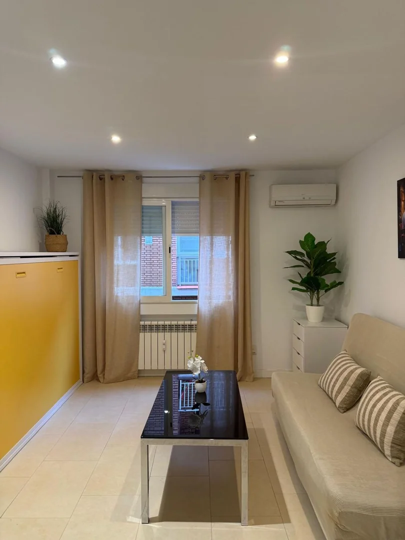 Estudio en Calle de Sánchez Pacheco, 16, Ciudad Jardín - Foto 2