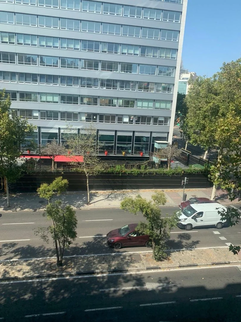 Piso en Calle de María de Molina, 56, Castellana - Foto 2