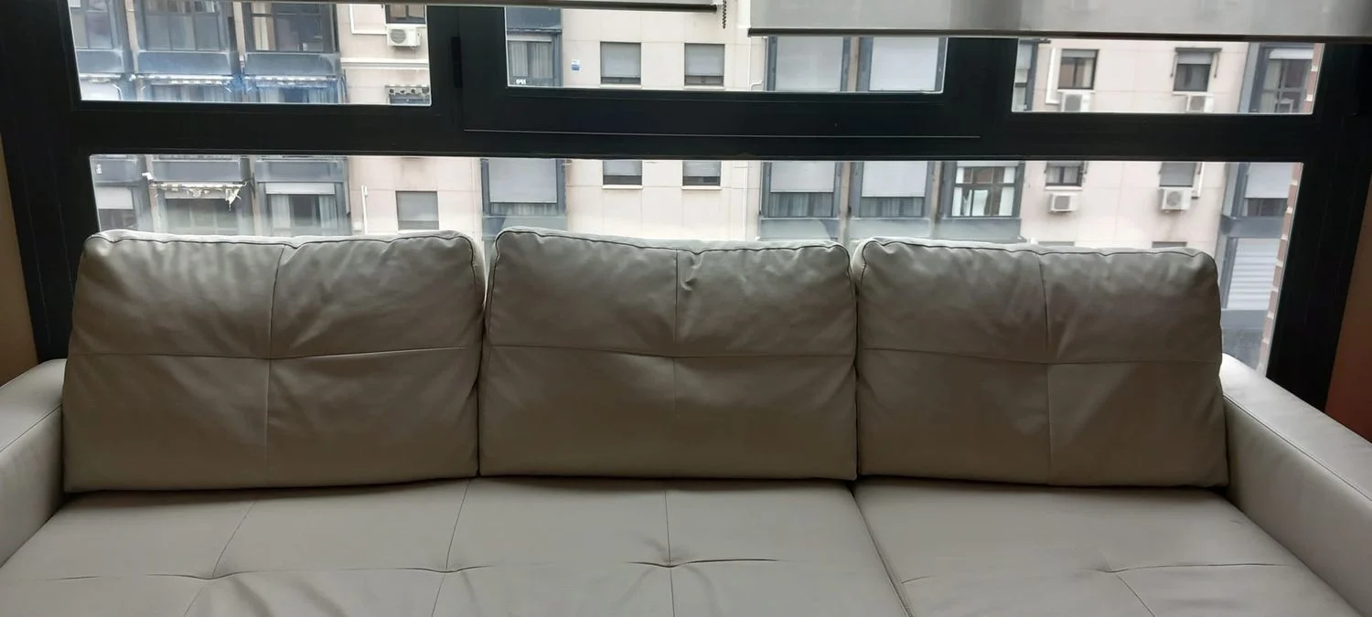 Estudio en paseo de Juan Antonio Vallejo-Nájera Botas, 29 - Foto 11