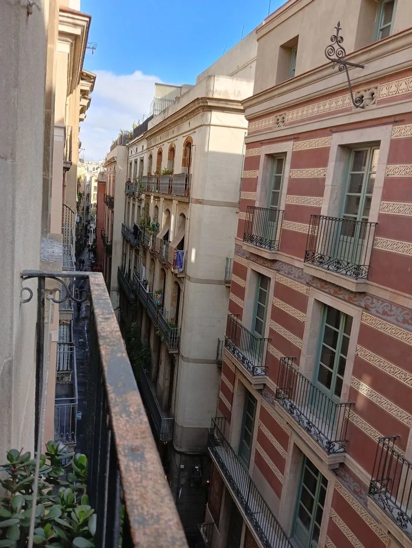 Piso en Calle Nou de Zurbano, 8 - Foto 10