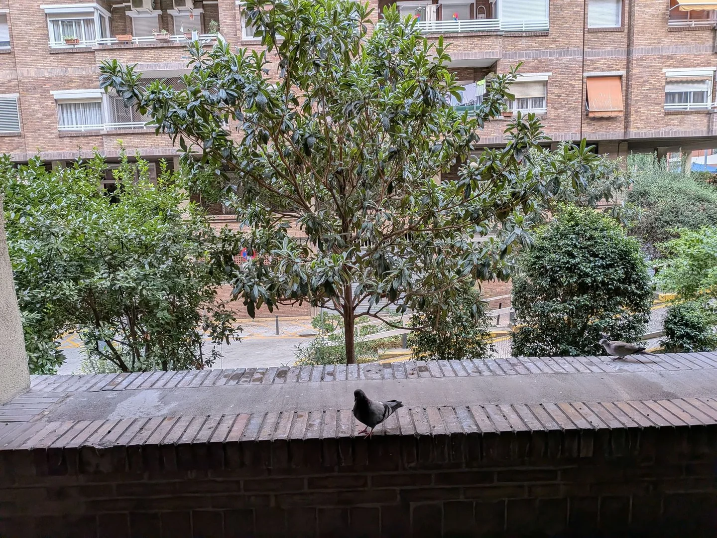 Piso en Calle de Palaudàries, 15, El Poble Sec - Parc de Montjuïc - Foto 3
