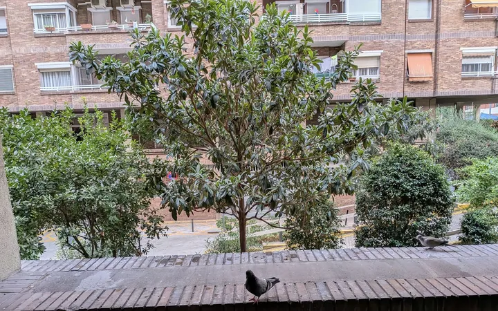 Piso en Calle de Palaudàries, 15, El Poble Sec - Parc de Montjuïc - Foto 3