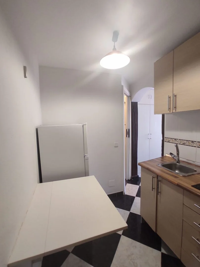 Piso en Calle de Zurita, 10, Lavapiés-Embajadores - Foto 8