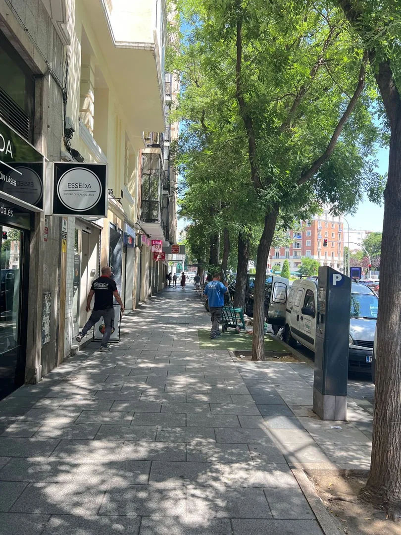 Ático en Calle de San Bernardo, Arapiles - Foto 40