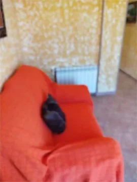 Piso en Argüelles - Foto 16