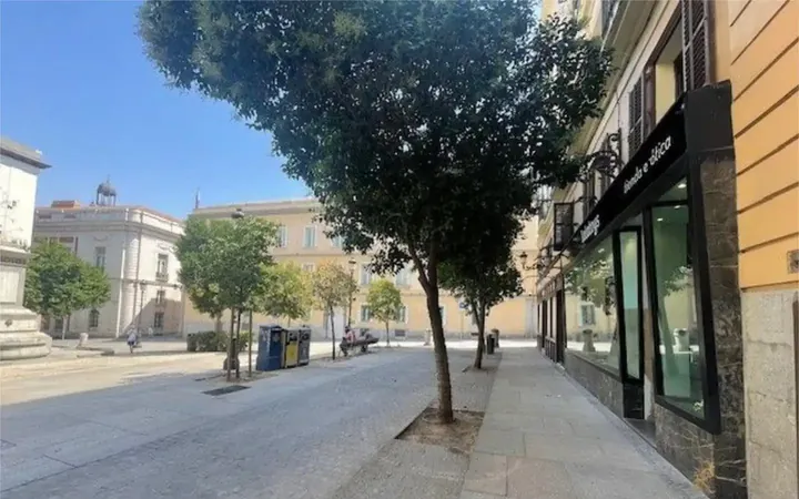 Local comercial en  Calle del Marqués Viudo de Pontejos 1 - Foto 1