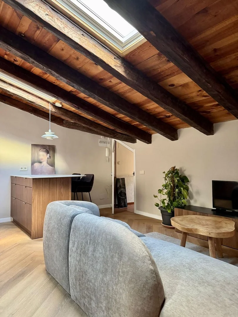 Estudio en Calle de Fernández de los Ríos, 8, Arapiles - Foto 10