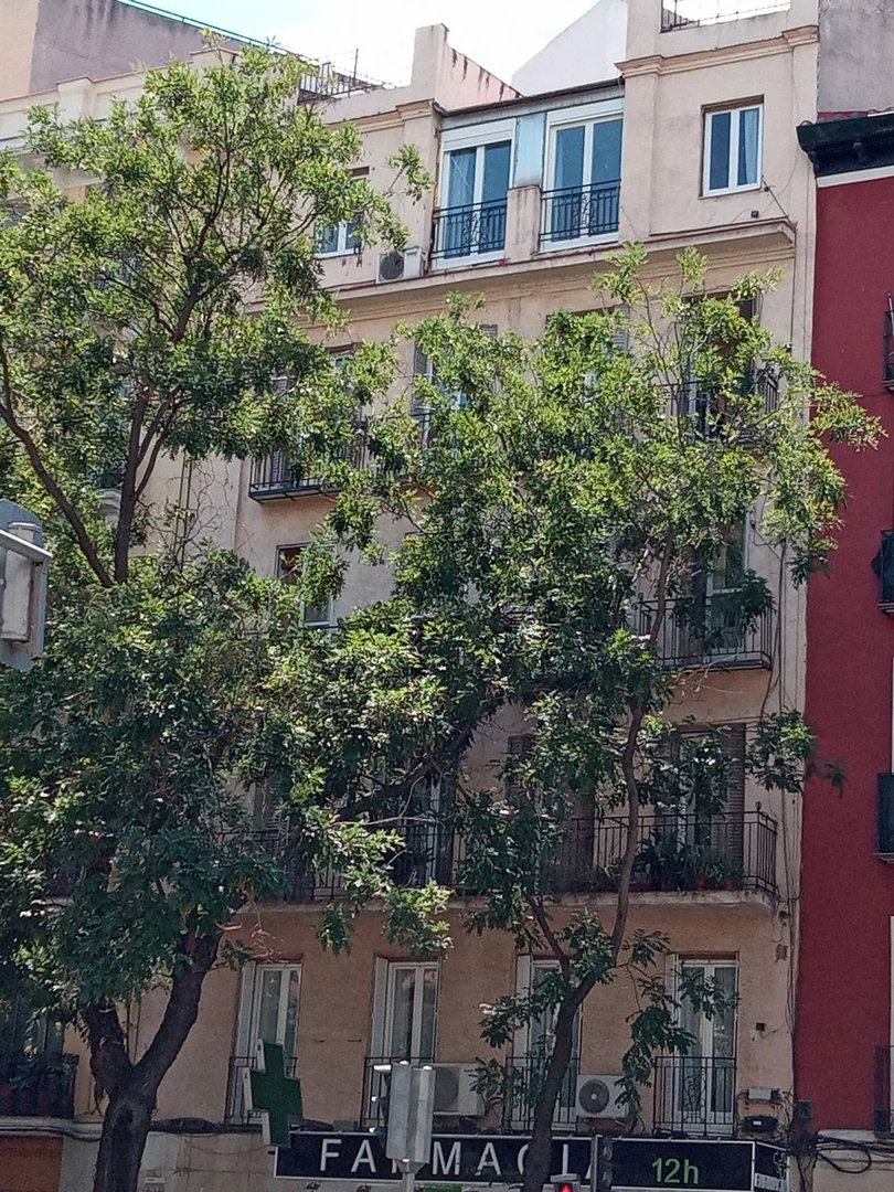 Piso en Calle de Santa Engracia, 81, Trafalgar - Foto 8