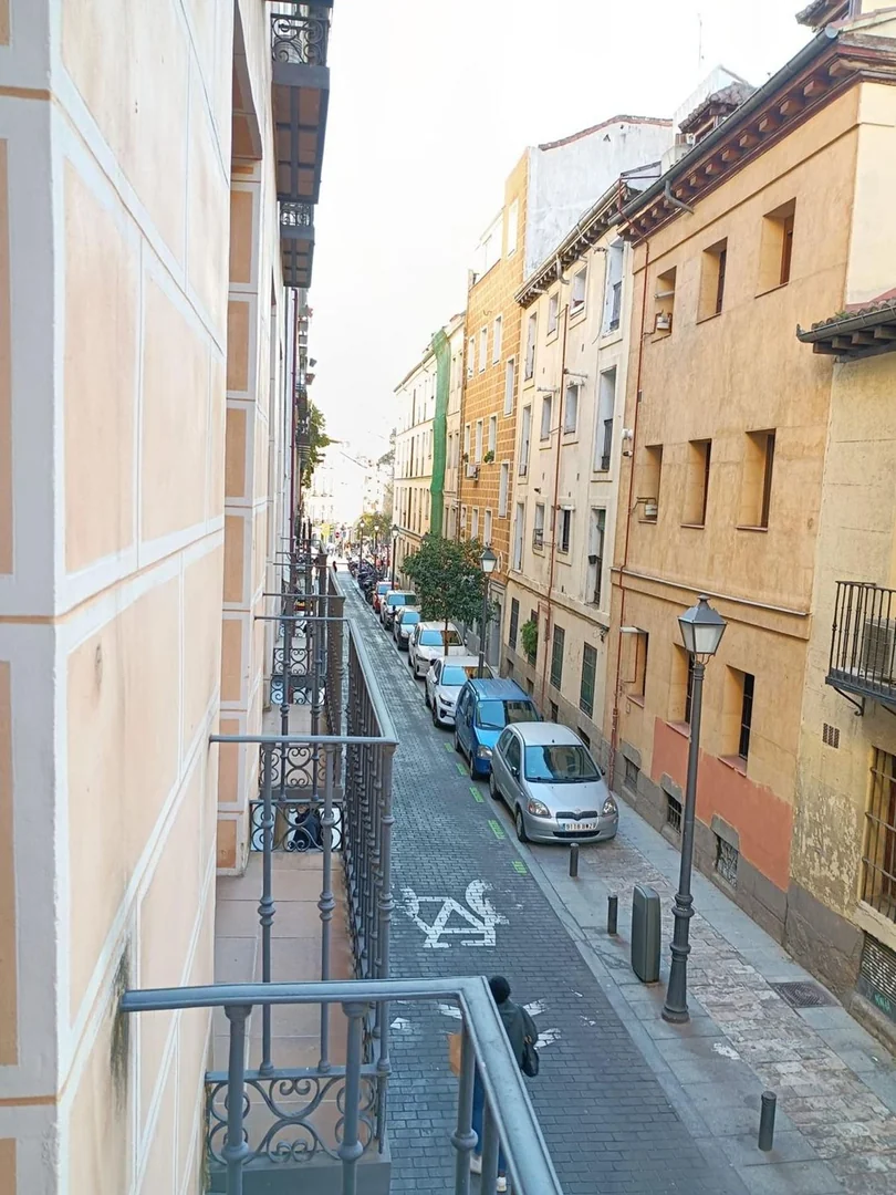 Piso en Calle de la Cava Alta, 23, Palacio - Foto 32