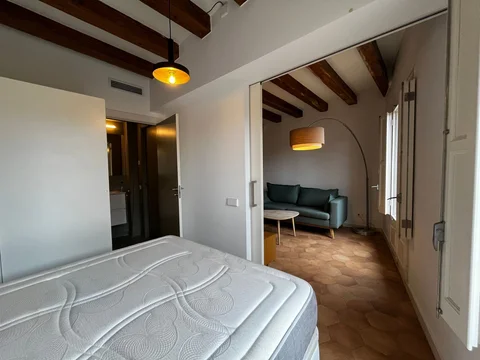 Ático en Calle de la Palla, 39, El Gòtic, Barcelona - Foto 10