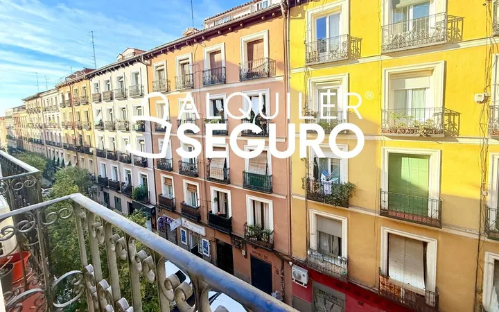 Piso en Calle del Amparo, Lavapiés-Embajadores - Foto 1