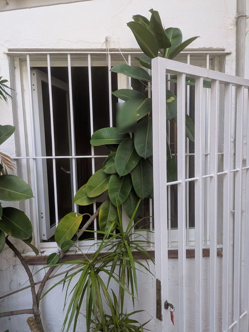 Piso en Les Corts - Foto 25