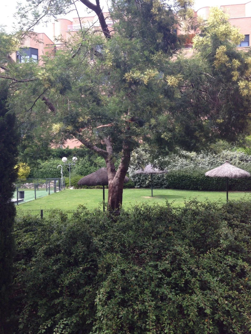 Piso en calle Ligonde, 3 - Foto 14