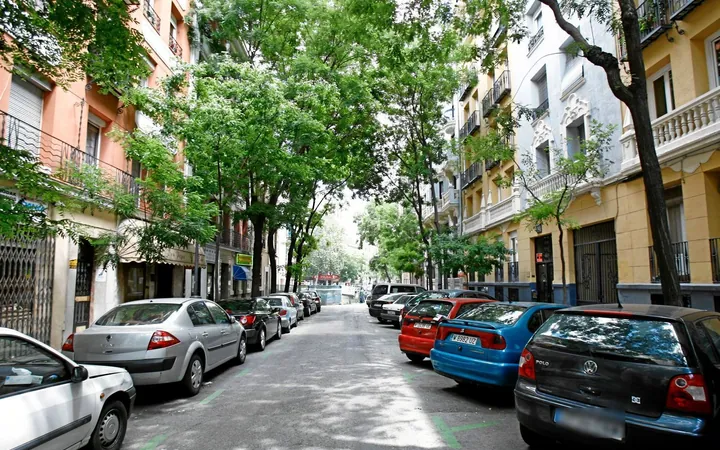 Piso en Calle del General Díaz Porlier, 21, Goya - Foto 14