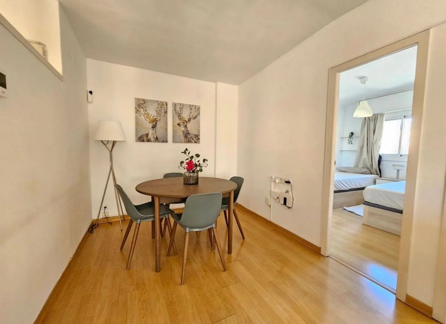 Piso en calle de Narciso Serra, 22 - Foto 14