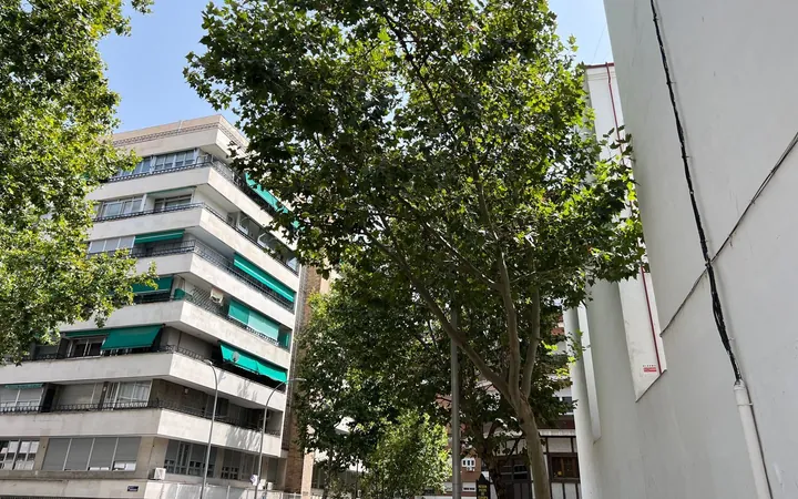 Ático en Calle de Iriarte, Guindalera - Foto 19