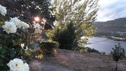 Casa de pueblo en Troncoso s/n - Foto 27