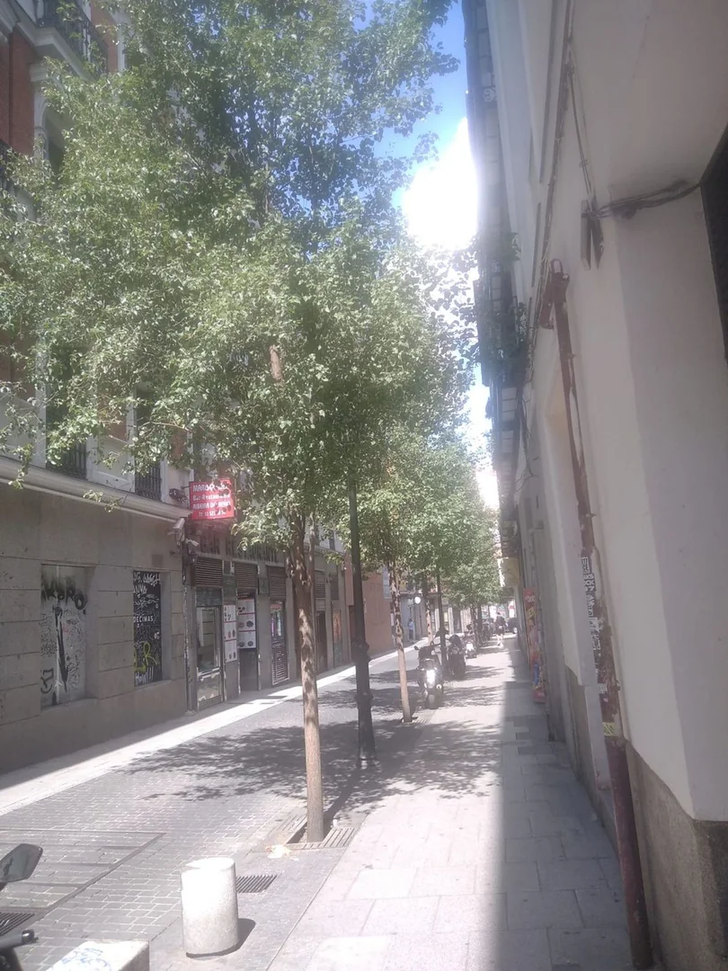 Piso en Calle de Santa Brígida, 6, Chueca-Justicia - Foto 3