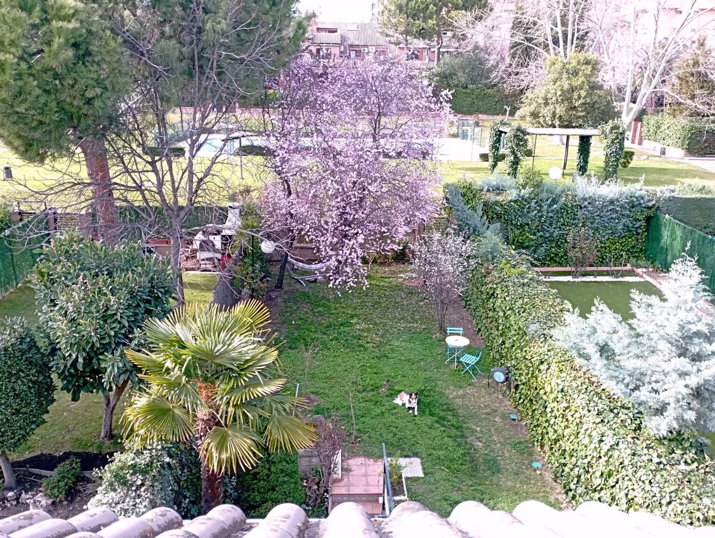 Chalet adosado en calle de La Rioja, 43 - Foto 28