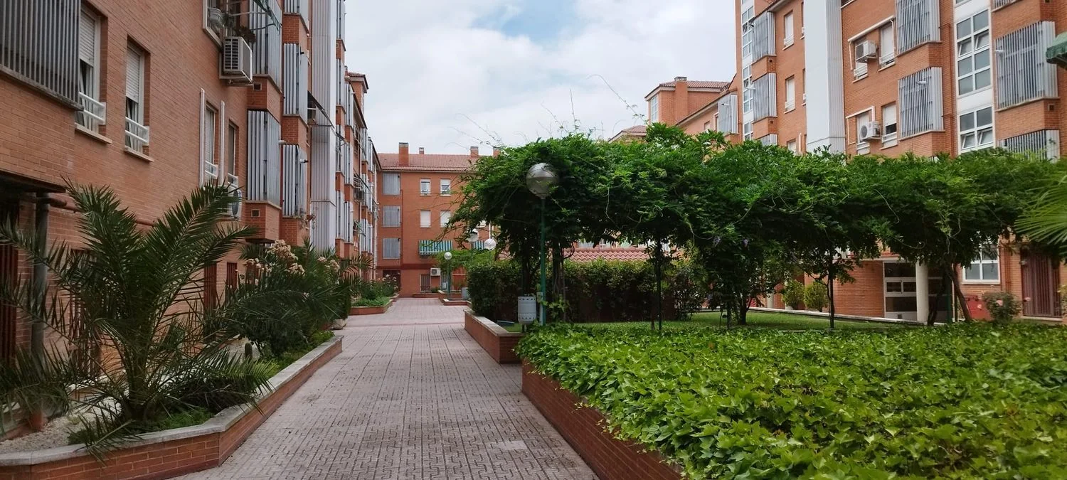 Piso en Calle Concejal Francisco José Jiménez Martín, 78, Los Cármenes - Foto 30