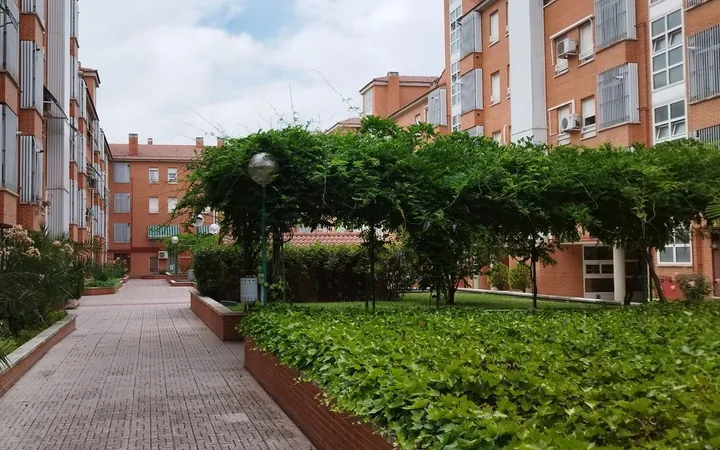 Piso en Calle Concejal Francisco José Jiménez Martín, 78, Los Cármenes - Foto 30