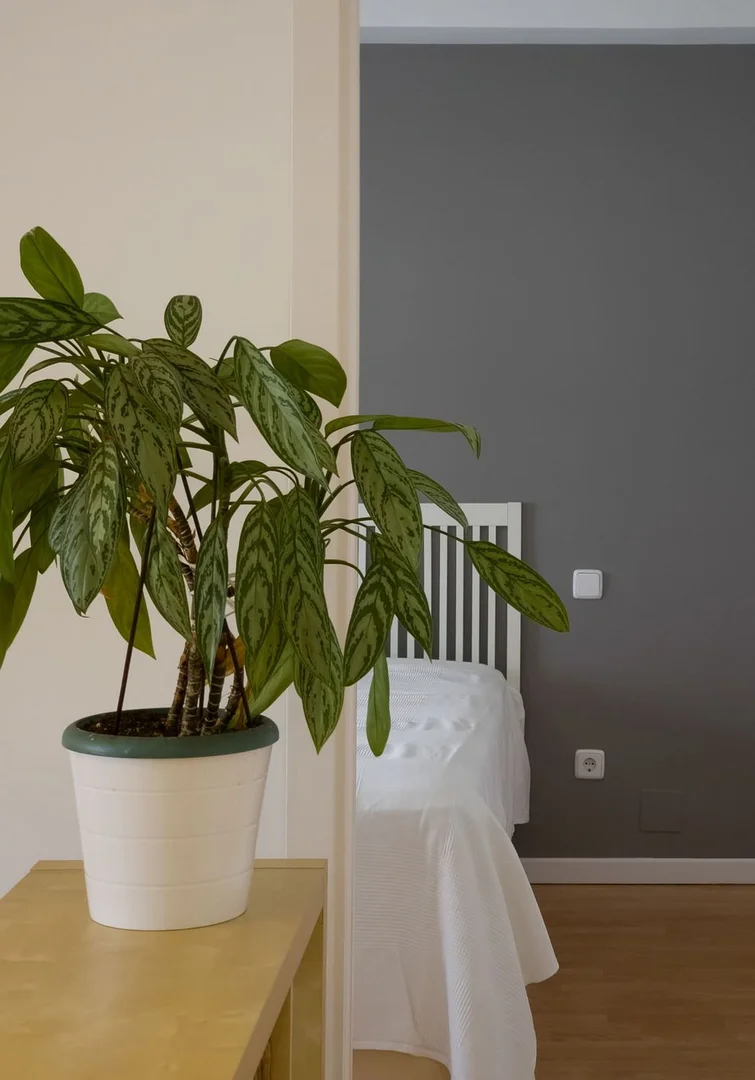 Piso en avenida de Pío XII, 94 - Foto 7