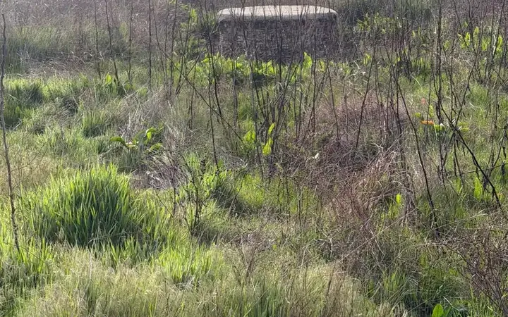 Terreno Residencial en  Madrid Capital - Foto 3