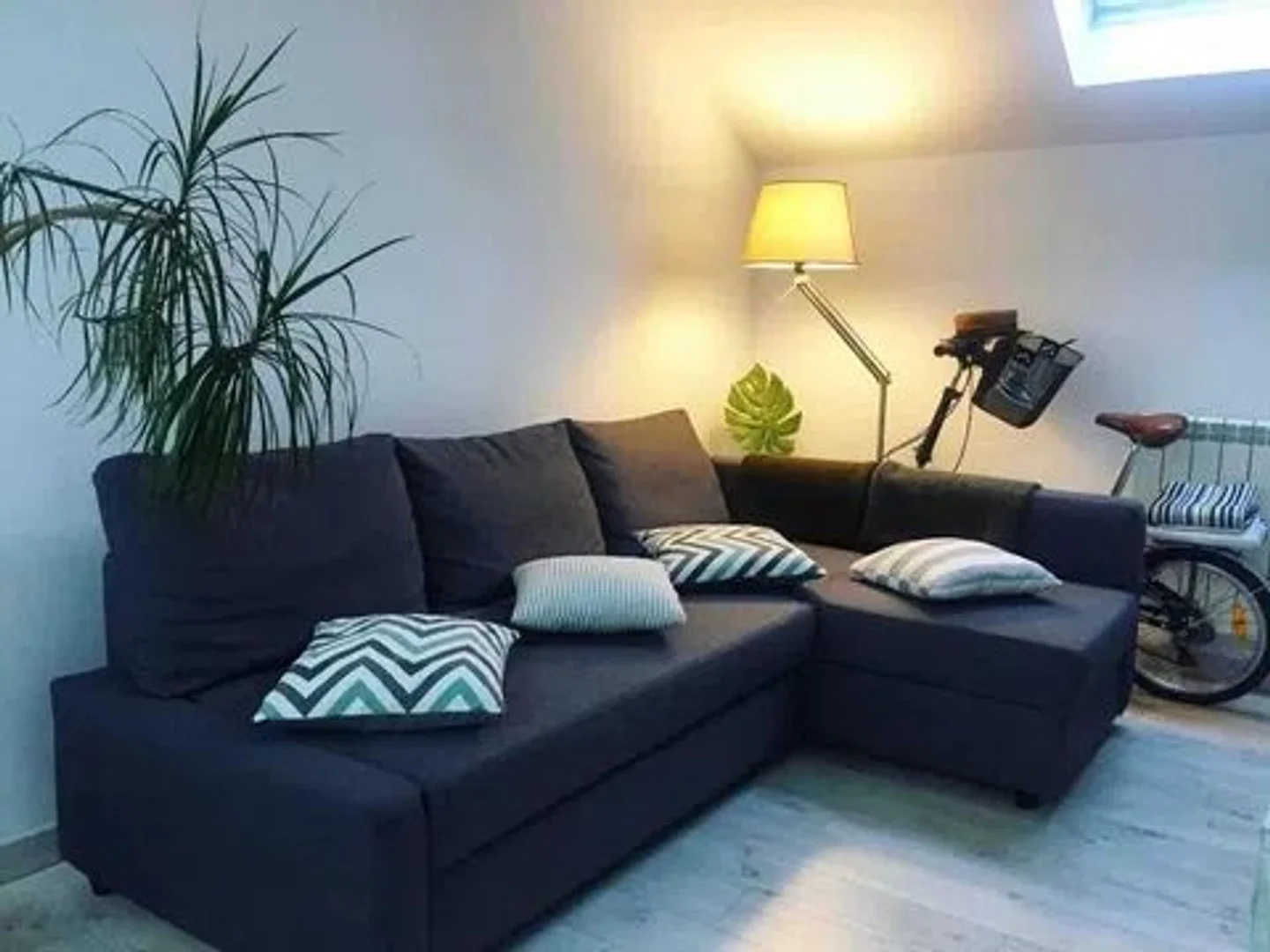 Estudio en calle Siro Muela, 5