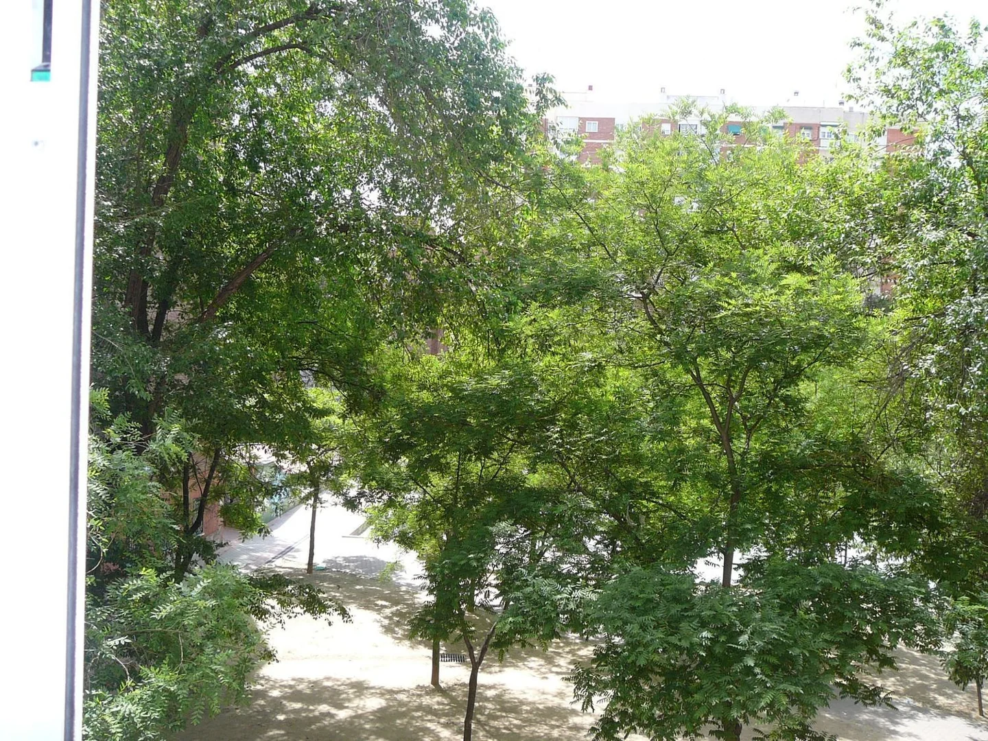 Piso en Plaza de Redondela, 11, Pilar - Foto 15