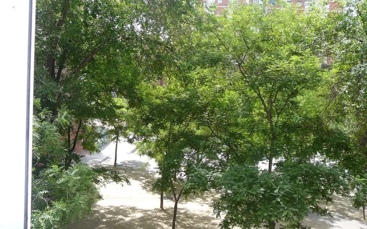 Piso en Plaza de Redondela, 11, Pilar - Foto 15
