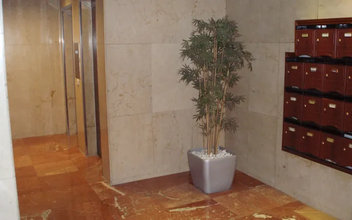 Piso en Calle del Corazón de María, Madrid, 37, Prosperidad - Foto 4