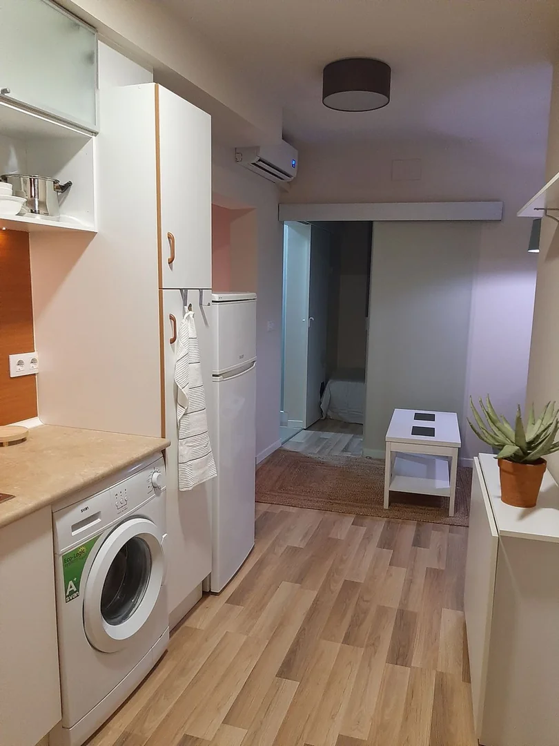Estudio en Calle del Cardenal Cisneros, 33, Trafalgar - Foto 15