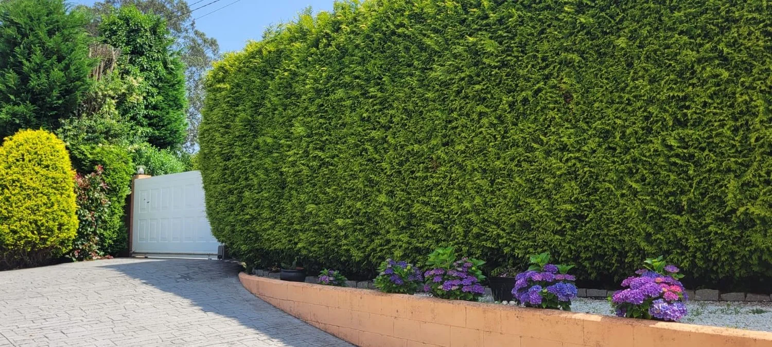 Casa independiente en calle Lourenciño, 2 - Foto 25