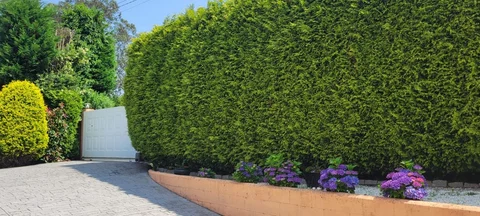 Casa independiente en calle Lourenciño, 2 - Foto 25