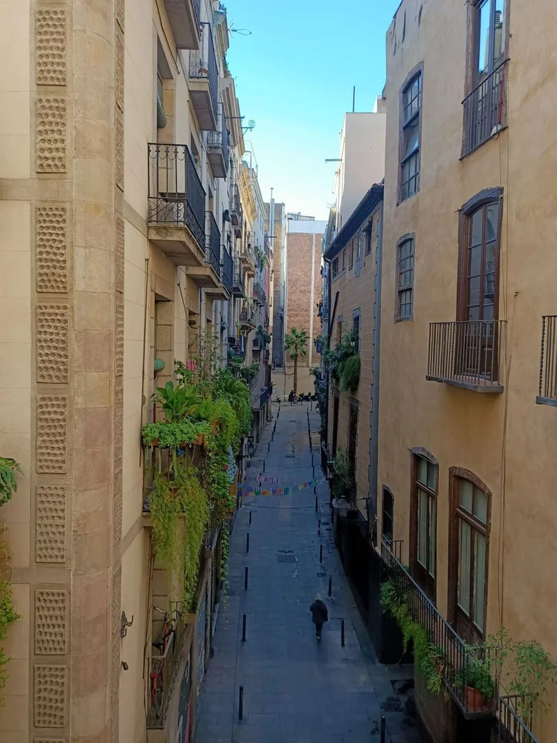 Piso en Calle dels Canvis Vells, 5, Sant Pere - Santa Caterina i la Ribera - Foto 6