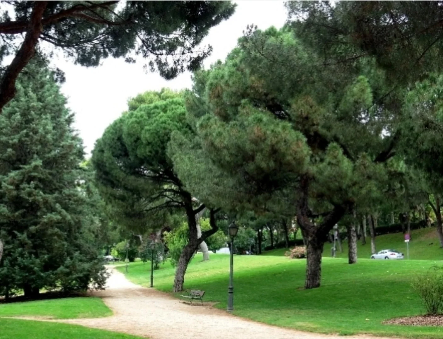 Piso en  Calle de Cadarso 19 - Foto 11