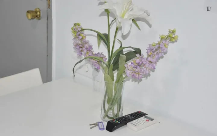 Estudio en Calle de Vallehermoso, Arapiles - Foto 5