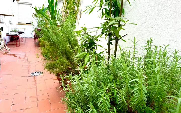Piso en  Calle de Lope de Rueda 39 - Foto 6