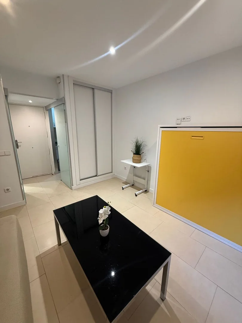 Estudio en Calle de Sánchez Pacheco, 16, Ciudad Jardín - Foto 7